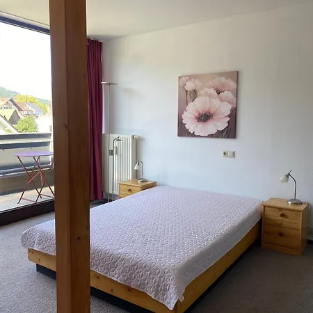 Seehaus Bodman-Ludwigshafen