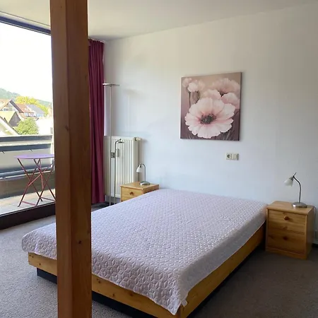 Seehaus * Bodman-Ludwigshafen